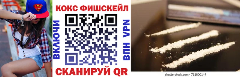 COCAIN Fish Scale  купить закладку  Славянск-на-Кубани 