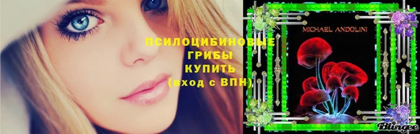 гашик Тихорецк