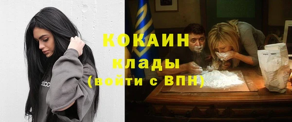 гашик Тобольск