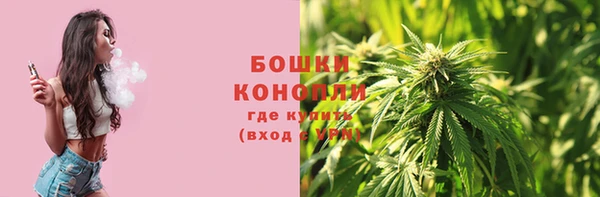 гашик Тобольск
